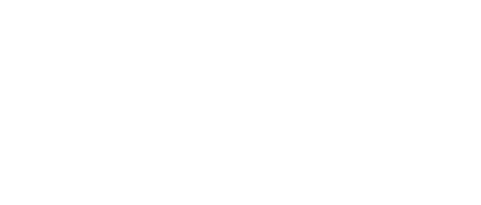 Nirogi Bike Fit
